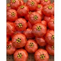 ราคา เหรียญโปรยทานลูกจันทร์ ตัวเปล่า 50 ชิ้น เหรียญโปรยทานลูกจันท์ เหรียญโปรยทาน พร้อมส่ง (17200865459)