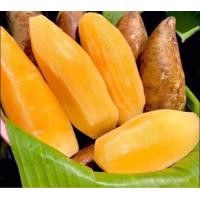 ราคา บัวหิมะสดๆดอยอ่างขาง ไซส์เล็ก 1 กิโล กรอบหวานฉ่ำ อร่อย สดๆ บัวหิมะสด บัวหิมะจากดอย ผลไม้เมืองหนาวดอยอ่างขางเจ้าของสวนขายเอง (20579389075)