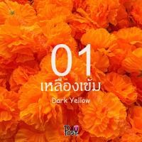 ราคา ดอกดาวเรือง ดอกดาวเรืองปลอม ดาวเรืองร้อยมาลัย ดอกดาวเรืองผ้า มีรูสำหรับร้อยเข็ม 50 ดอก 49 บาท ส่งไว (19825839456)