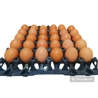 ราคา ไข่ไก่เบอร์1 (20645981086)