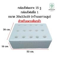 ราคา ชุดปลูกผักไฮโดรโปนิกส์ ของครบพร้อมปลูก ชุดปลูกผักสลัด 6815 ช่อง ชุดปลูกผัก กล่องโฟมปลูกผักไฮโดรโปนิกส์ (19921039406)