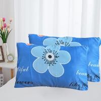 ราคา ปลอกหมอน1ชิ้นสีเขียวเข้มสีฟ้าอ่อน (20360103817)