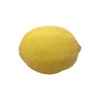 ราคา เลมอน เลม่อน มะนาวเหลือง Lemon เบอร์คั้นน้ำ เบอร์สวย ผักผลไม้สดนำเข้า มะนาวเหลือง ลูกเลม่อนสด ผลเลม่อน เลมอน (8859068051)
