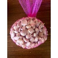 ราคา กระเทียมไทยแกะกลีบเบอร์1 ใหญ่สุด 1 กก (20689578896)