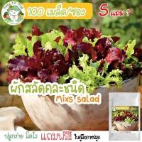 ราคา เมล็ดผักสลัด สลัดคละชนิด mixs salad Lettuce 100 เมล็ด เมล็ดพันธุ์แท้ นำเข้าจากต่างประเทศ ปลูกง่าย โตไว ขายดี ถูก (11416655396)