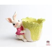 ราคา กระถางเรซิน แก๊งกระต่ายน้อย ไม้อวบน้ำ กุหลาบหิน cactus succulent หลากหลายสายพันธ์ (4624592711)