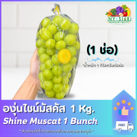 ราคา ใหม่ องุ่นไชน์มัสคัส 1 Kg 1 ช่อ องุ่นไซมัสคัสพรีเมี่ยม องุ่นไซมัสแคทนำเข้า ขนส่งควบคุมอุณหภูมิ 5168Fruits (20665283877)