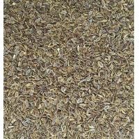 ราคา เทียนตาตั๊กแตน เมล็ดผักชีลาว มะแหลบ (12858683102)