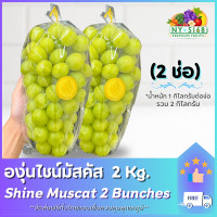 ราคา ใหม่ องุ่นไชน์มัสคัส แพ็คคู่ 2 Kg 2 ช่อ องุ่นไซมัสคัสพรีเมี่ยม องุ่นไซมัสแคทนำเข้า ขนส่งควบคุมอุณหภูมิ 5168Fruits (20665564740)