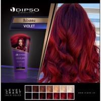 ราคา ดิปโซแว็กDIPSO WAXครีมเปลี่ยนสีผมโฉมใหม่พร้อมส่ง (14319398055)