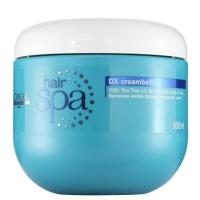 ราคา LOREAL PROFESSIONNEL HAIR SPA DX CREAMBATH (20543409037)