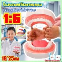 ราคา ถูก ส่งเร็ว จากไทย โมเดลฟัน 6 เท่า พร้อมลิ้นใหญ่ เหมือนมาก พร้อมแปรงสีฟัน เปิดและปิดได้อย่างอิสระ สําหรับการเรียนการสอน เรียนรู้เรื่องฟัน โมเดลทัตกรรม โมเดลฟันจำลอง โมเดลฟันปลอม โมเดล ฟัน สำหรับ การ เ