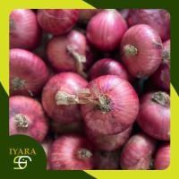 ราคา 2กิโล หอมแขก แขกจีน หัวใหญ่ สวย คัดคุณภาพ (20750941642)