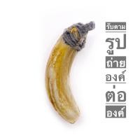 ราคา เขี้ยวหมูตัน ถักเชือก ใหญ่ พิธีพุทธาภิเษกสายเขาอ้อ เครื่องรางทนสิทธิ์ (18113551948)