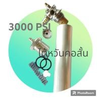ราคา วาล์วดับเพลิงไต้หวันคอสั้นมือสองพร้อมถัง3000PSI อะไหล่ครบ (19725142698)