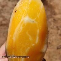 ราคา บัวหิมะสด ขายเป็นกิโล จากดอยอ่างขาง บัวหิมะสด หวานฉ่ำ เนื้อกรอบ ไชส์ใหญ่ พร้อมส่ง (20563405174)