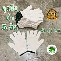 ราคา ถุงมือผ้า 500 กรัม น้ำหนักเต็ม สีขาวขอบเขียว 5 ขีด จำนวน 12 คู่ โหล (3782570861)