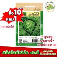 ราคา ซื้อ10แถม1 เมล็ดพันธุ์ สลัดไอซ์เบิร์ก คริสปี้ Lettuce iceberg crispy ประมาณ 5000เมล็ด เจียไต๋ เมล็ดพันธุ์พืช เมล็ดพันธุ์ผัก เมล็ดผัก เม็ดผัก (2801586102)