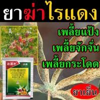 ราคา กำจัดไรแดงให้สิ้นซาก เพลี้ยไฟไรแดงทุเรียน ยาฆ่าไรแดง อย่างดี ยากําจัดไรแดงบอนสี ยาไรแดงทุเรียน ยาเพลี้ยไฟไรแดงทุเรียน ยาฉีดไรแดง ยาฆ่าเพลี้ยไรแดง ยาฆ่าไรแดง ยาฆ่าเพลี้ยไรแดง ยาฆ่าตัวไร ยากำจัดเพลี้ยไ 