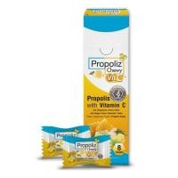 ราคา Propoliz Lozenge Propoliz Chewy โพรโพลิซ ชนิดเม็ดอม และเม็ดเคี้ยว ผลิตภัณฑ์เม็ดอมและเคี้ยว สำหรับช่องปากและลำคอ (20459226426)