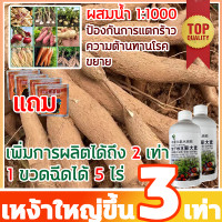 ราคา ใต้ดินเติบโตอย่างรวดเร็ว ปุ๋ยเร่งหัวมัน สามารถพ่นพื้นที่ได้ครั้งละห้าเอเคอร์ 300G ฮอร์โมนมันสำปะหลัง ปุ๋ยมันสำปะลัง ปุ๋ยทางใบมันสำปะหลัง ปุ๋ยเกล็ดทางใบ ปุ๋ย ปุ๋ยเกล็ด0 0 60 ปุ๋ยกัชชา ปุ๋ยเร่งดอกไม้ ส 