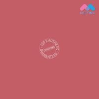 ราคา ลิปแมท วายโอยู ซิมพลิซิตี้ แมท ลิป คัลเลอร์ นุ่ม ติดทนทาน YOU Simplicity Matte Lip Color 3 2g (19985743285)