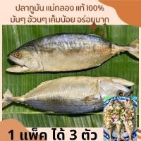 ราคา ปลาทูมันแดดเดียว แพ็ค3ตัว ของแท้ต้องแม่กลองแท้100 (20462167998)