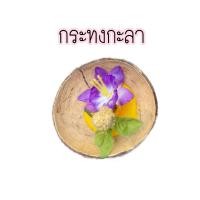 ราคา กระทง กระทงกะลา กระทงกะลามะพร้าว กระทงสายไหลประทีป 1000 ดวง จ ตาก (16226637578)