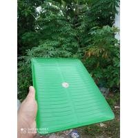 ราคา ถาดใบตอง สีอ่อน 9 5 12 5นิ้ว (17487308422)