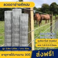 ราคา จัดส่งฟรี รั้วตาข่ายถักปม ยาว 50เมตร ช่องตาไล่ระดับ รั้วตาข่ายเหล็กถัก ตะข่ายล้อมรั้ว รั้วตาข่ายถักปม แรงดึงกึ่งสปริง (16997014222)