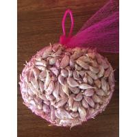 ราคา กระเทียมไทยแกะกลีบเบอร์ 4 เล็กสุด 1 กก (20689638238)