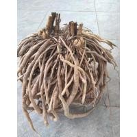 ราคา สมุนไพรราก สามสิบ ครึ่ง1กก หัวกึ่งสดกึ่งแห้ง (20176593807)