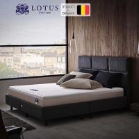 ราคา LOTUS ที่นอนยางพารา สเปคนุ่มแน่น รุ่น i Latex III หนา 10 นิ้ว ฟรีหมอนหนุนสุขภาพ ส่งฟรี (14432240456)