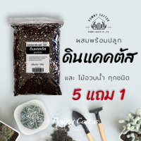 ราคา ดินแคคตัส ดินผสมสำเร็จ ดินพร้อมปลูกพรีเมี่ยม ดินปลูกไม้โขด ดินกระบองเพชรพร้อมปลูก เร่งดอก เร่งราก ไลทอป cactus ดินไม้อวบน้ำ (17211630687)
