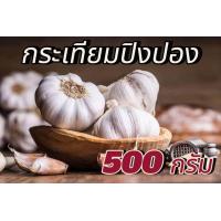 ราคา กระเทียมจีน กระเทียมปิงปองกลีบใหญ่ (20579478919)