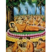 ราคา ภาพพระพุทธเจ้าปางประจำวันเกิดทั้ง7วันและ ปางประสูติ ตรัสรู้ ปรินิพาน และปางประทานพร ภาพเคลือบมันอย่างดีสีสวยสดใสขนาด15X20นิ้ว (15270269513)