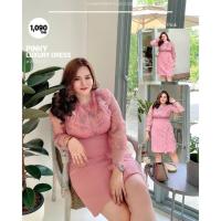 ราคา Varaphorn VP7011Luxury Pastel Pink Dress เดรสสุดหรู (18492328770)