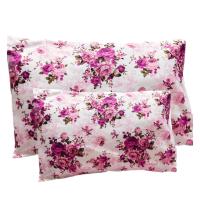 ราคา ปลอกหมอนหนุน ขนาด 19x29 นิ้ว ปลอกหมอนใบใหญ่ (19778955091)