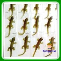 ราคา จิ้งจก ปลอม 12 ตัว จิ้งจกปลอม จิ้งจกยาง ขายดี ของเล่นราคาถูก ของเล่นเด็ก ของเล่นโบราณ ของเล่นแผงราคาถูก ของเล่น จิ้งจกของ (5982692744)