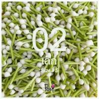 ราคา พุดดิน ดอกพุดดิน พุดดินปั้นมือ ดอกพุดเสมือนจริง พุดดินร้อยตาข่าย Clay Gardenia มีรูร้อยเข็ม 50 ดอก 49 บาท ส่งไว งานปั้น Hand Made (9742102722)