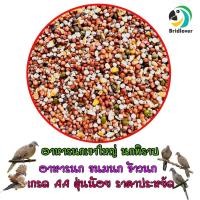 ราคา อาหารนกเขาใหญ่ ขนมนก ขนาด 500 1000 กรัม อาหารนกพิราบ นกเขา นกเขาใหญ่ (19680599651)