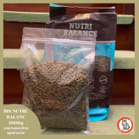ราคา Caffe Bunny อาหารกระต่าย อาหารเม็ด สำหรับกระต่ายทุกช่วงวัย พ่อพันธุ์แม่พันธุ์ อาหารสำหรับกระต่าย BIS Nutri Balance บี ไอ เอส นิวทริบาลานซ์ 1kg (15725100548)