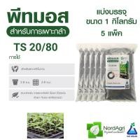 ราคา พีทมอส ดินเพาะกล้า ขนาด 1 กก x 5 ถุง สีเขียว วัสดุปลูกคุณภาพสูง จาก นอร์ทอะกริ นำเข้าจากประเทศลัตเวีย NordAgri TS 20 80 Professional Peat moss 1 kg x 5 packs (18895949489)