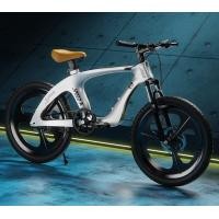 ราคา จักรยาน จักรยานเสือภูเขา mountain bike bicycle จักรยานเสือหมอบ ดิสก์เบรกคู่ กรอบเหล็ก เฟรมแมกนีเซียมอัลลอย ถอดออกประกอบได้ (20343694332)