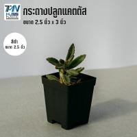 ราคา กระถางต้นไม้พลาสติก ทรงสี่เหลี่ยมพร้อมจานรอง กระถางต้นไม้แคคตัส มี 4 สี ขนาด 2 5 นิ้ว ราคาโรงงาน กระถางต้นไม้ กระถาง TMN Hubs (3988930062)