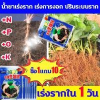 ราคา ออกรากเยอะข้ามคืน น้ำยาเร่งรากb1 พืชเติบโตแข็งแรงและรวดเร็ว ผงเร่งราก 1ชุด10 ชอง ผงเร่งราก อุดมไปด้วยไนโตรเจน ฟอสฟอรัส โพแทสเซียม น้ำยาเร่งราก ใช้เพื่องการงอกองรากรากนงแรง ผงเร่งราก (19969427793)