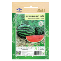 ราคา เมล็ดพันธุ์ แตงโม ซอนญ่า พลัส ทรงกลมสูง ผิวสีเขียวอ่อนสลับลายเข้ม ตราเจียไต๋ บรรจุ 2 กรัม 40 เมล็ด (1665330656)