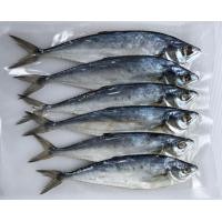 ราคา ปลาสีเสียด ปลาสีเสียดเล็ก ไซต์ขนาด 20 30 ตัวกิโล ปลาสีเสียดตากแห้ง ทอดหอมหรอย ไม่เค็ม อาหารทะเลแห้ง ปลาสีเสียดเค็ม (13431904063)