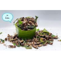 ราคา จิ้งหรีดทอดกรอบไร้น้ำมัน รสดั้งเดิม (15891769899)