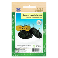 ราคา เมล็ดพันธุ์ ฟักทอง ทองอำไพ 426 ผิวคางคก ผลใหญ่ ทรงแป้น เนื้อสีเหลือง รสชาติหวาน ตราเจียไต๋ บรรจุ 2 กรัม 20 เมล็ด (1033140228)